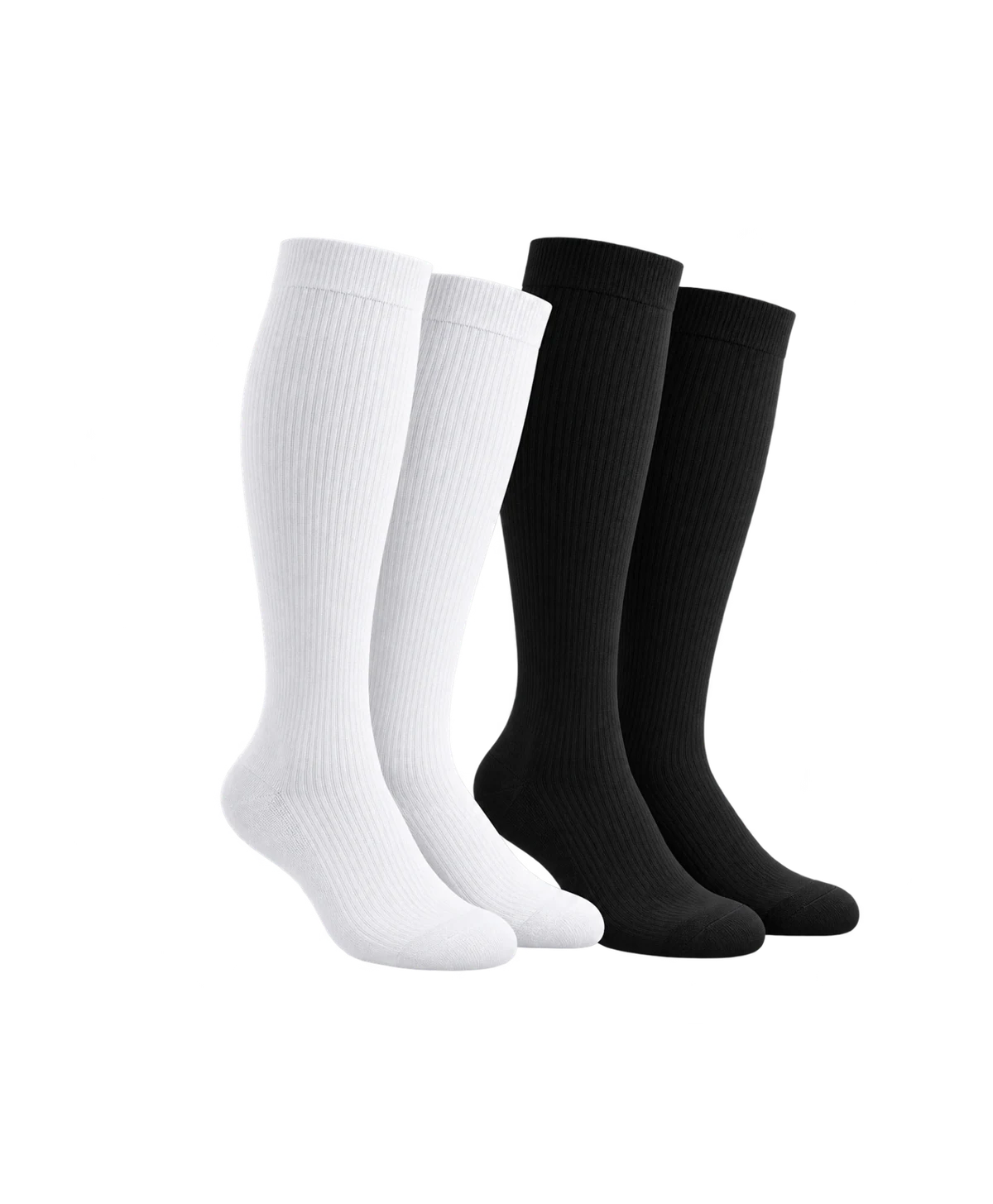 Knee product illustration Knee product illustration on a transparent background